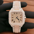 Top Quality Diamond Moissanite Watch on Factory Price DEF Moissanite Diamond Iced Out Watch